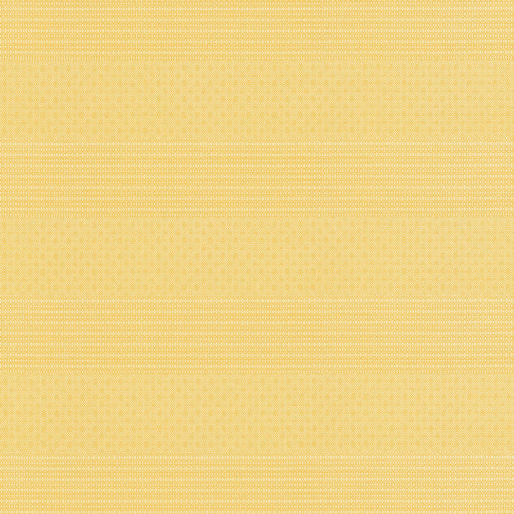 Gaston Y Daniela Upholstery GDT5697.003.0 Upholstery POLYOLEFIN FR - 100% Italy </p><p>Repeat: H: , V: 27.5 21 - My Fabric Connection -