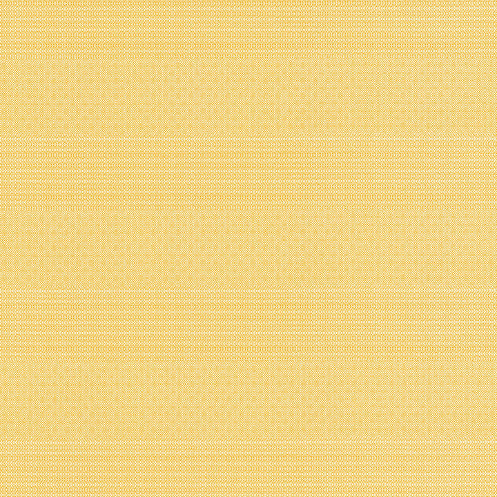 Gaston Y Daniela Upholstery GDT5697.003.0 Upholstery POLYOLEFIN FR - 100% Italy </p><p>Repeat: H: , V: 27.5 21 - My Fabric Connection -
