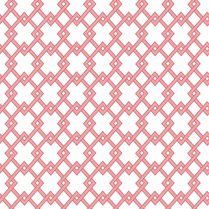 Bound Rosa by Gaston Y Daniela Designer Wallcovering GASTON LIBRERIA PAPER - 100% Spain - Horizontal: 0 and Vertical: 2.9 20.8 - Swanky Fabrics -
