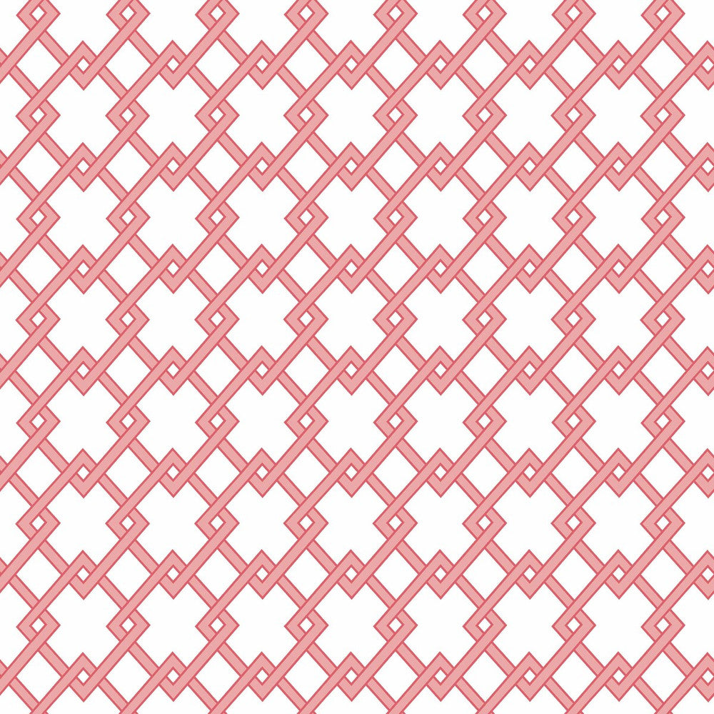 Bound Rosa by Gaston Y Daniela Designer Wallcovering GASTON LIBRERIA PAPER - 100% Spain Horizontal: 0 and Vertical: 2.9 20.8 - Swanky Fabrics -