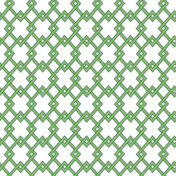 Bound Verde by Gaston Y Daniela Wallcovering Gaston Y Daniela Wallcovering Bound VerdeWallcovering GASTON LIBRERIA PAPER - 100% Spain </p><p>Repeat: H: 0, V: 2.9 20.8 - Fabric Carolina -