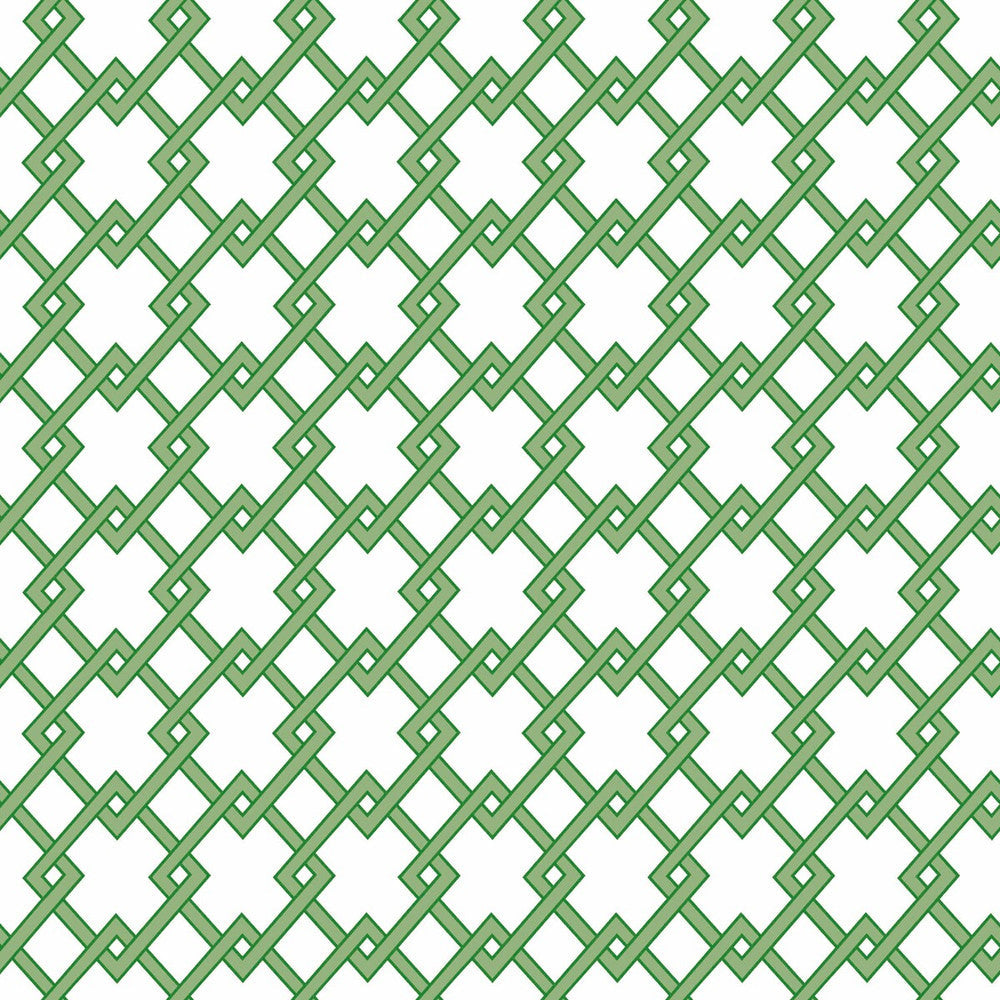 Bound Verde by Gaston Y Daniela Designer Wallcovering GASTON LIBRERIA PAPER - 100% Spain Horizontal: 0 and Vertical: 2.9 20.8 - Swanky Fabrics -