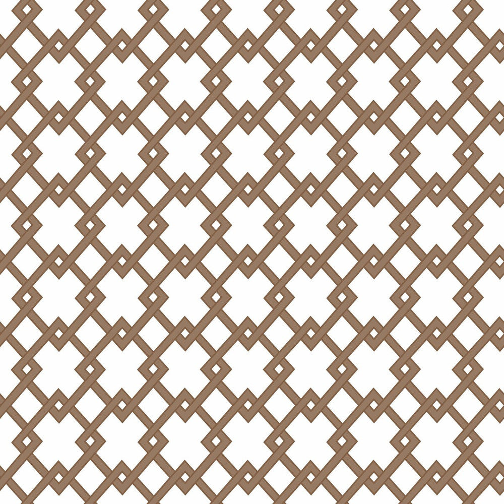 Bound Marron by Gaston Y Daniela Wallcovering Gaston Y Daniela Wallcovering Bound MarronWallcovering GASTON LIBRERIA PAPER - 100% Spain </p><p>Repeat: H: 0, V: 2.9 20.8 - Fabric Carolina -