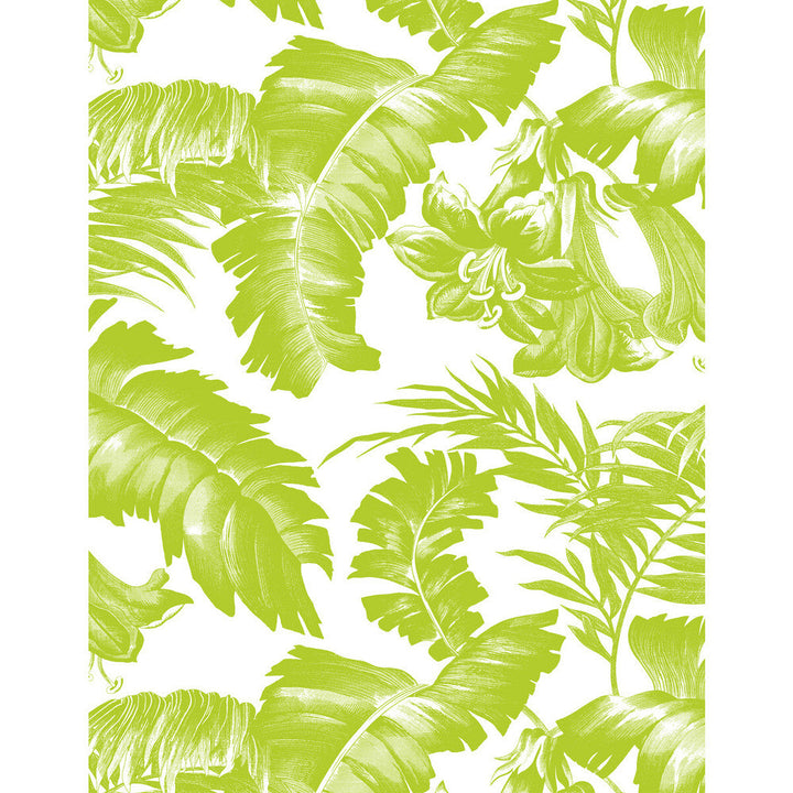 Plantation Verde by Gaston Y Daniela Designer Wallcovering GASTON LIBRERIA VINYL - 100% Italy Horizontal: 0 and Vertical: 27.5 27.5 - Swanky Fabrics -
