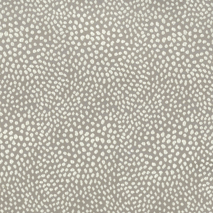 Gear 1 Mocha by Stout Designer Fabric Rainbow Library Mushroom/Taupe 100% Polyester INDIA WYZENBEEK 20 000 DOUBLE RUB WEAR TEST (HEAVY DUTY) Horizontal: 0 and Vertical: 0 54 in - Swanky Fabrics -