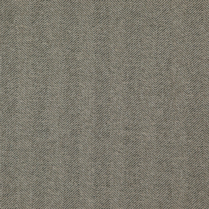 GENERAL 65J7351 by JF Designer Fabric Winning Weaves VI - Woven Book 100% Polyester India  Horizontal: 2.375 and Vertical:  57  - Swanky Fabrics -