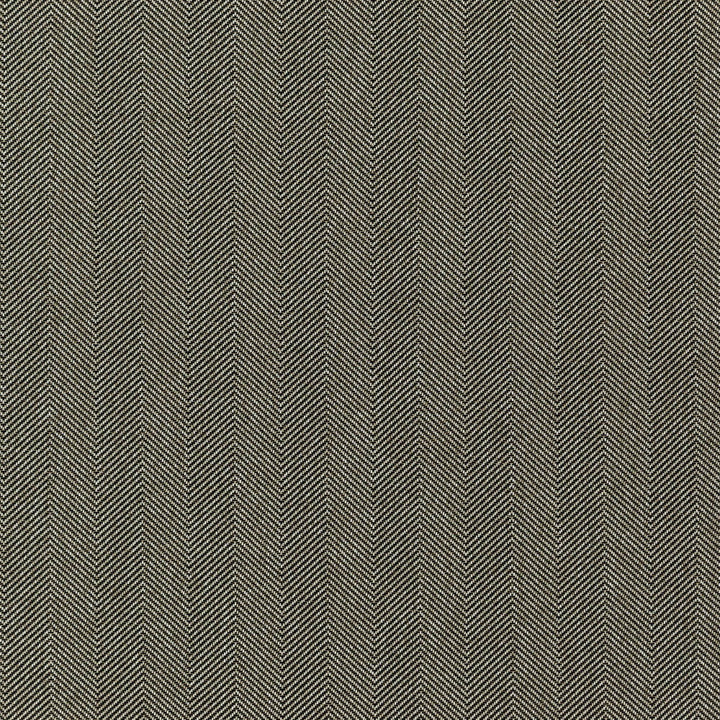 GENERAL 98J7351 by JF Designer Fabric Winning Weaves VI - Woven Book 100% Polyester India  Horizontal: 2.375 and Vertical:  57  - Swanky Fabrics -