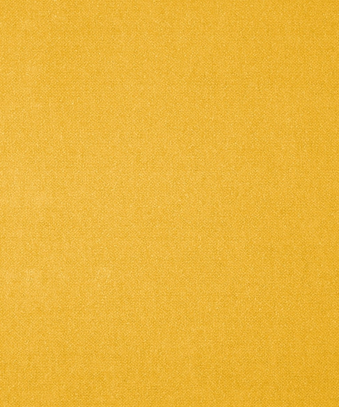 Genesis 21204 by Barrow Industries Designer Fabric