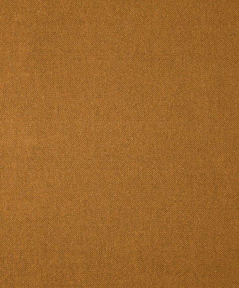 Genesis 21305 by Barrow Industries Designer Fabric