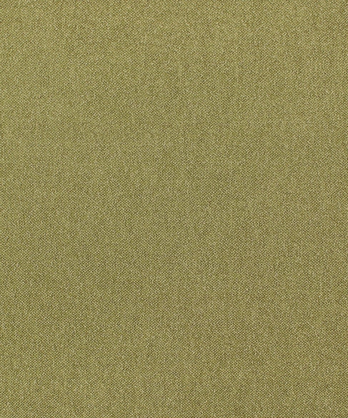 Genesis 22104 by Barrow Industries Designer Fabric