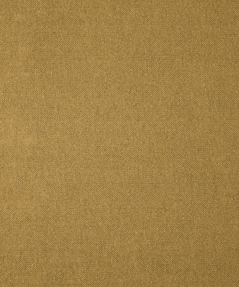 Genesis 41304 by Barrow Industries Designer Fabric