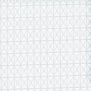 Geneva Silver 90 by Norbar Designer Fabric 100% POLYESTER INDIA 1"V 1"H 54 - Swanky Fabrics -