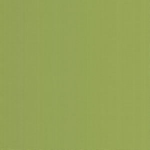 Georgia Kiwi by Norbar Designer Fabric SUNSHINE 100% HIGH UV POLYESTER USA 56 - Swanky Fabrics -