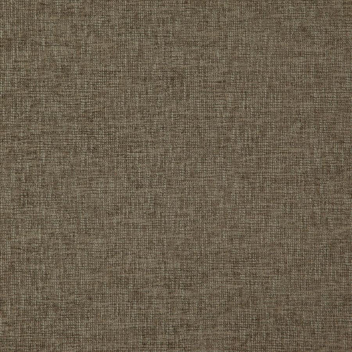 Grenoble # 35 Gargoyle by Maxwell Designer Fabric Weave Works V 50% POLYESTER/50% COTTON INDIA 55" - Swanky Fabrics -