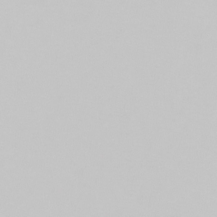 Glisseo # 118 Iron by Maxwell Designer Fabric Sheer Basics 100% POLYESTER TURKEY 118" - Swanky Fabrics -