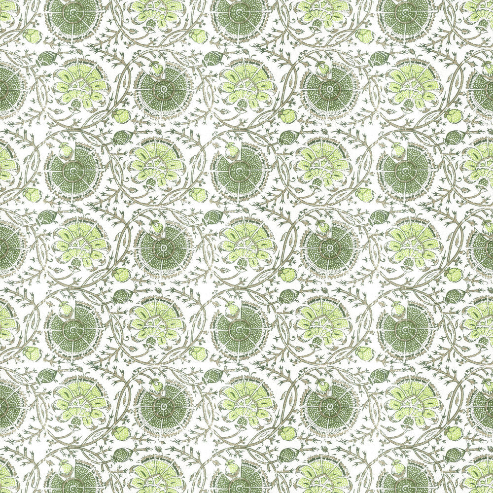 Gibertini 3 Apple by Stout Fabric Stout Fabric Gibertini 3 AppleFabric RAINBOW LIBRARY SPRING/EVERGREEN 100%COT INDIA </p><p>Repeat: H: 9.000, V: 8.500 56 in - Fabric Carolina -