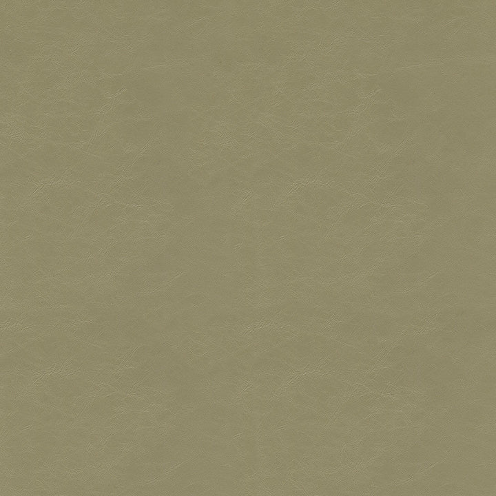 Dew Drop 6006 Mushroom by GUARDIAN Designer Fabric 100% Polyvinyl Chloride (PVC) CN 1,500,000 Double Rubs (Wyzenbeek) </p><p>Repeat: Horizontal: and Vertical: 54 in. (137 cm) - Swanky Fabrics -