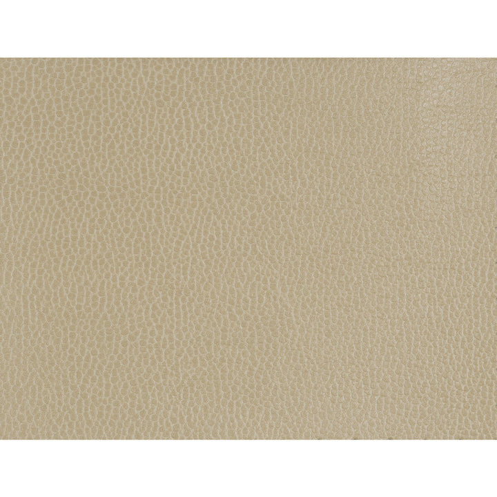 Kravet Design Gillian-1616 by Kravet Design Fabric Kravet Design Fabric Kravet Design Gillian-1616Fabric POLYURETHANE - 100% Japan </p><p>Repeat: H: 0, V: 0 54 - Fabric Carolina -
