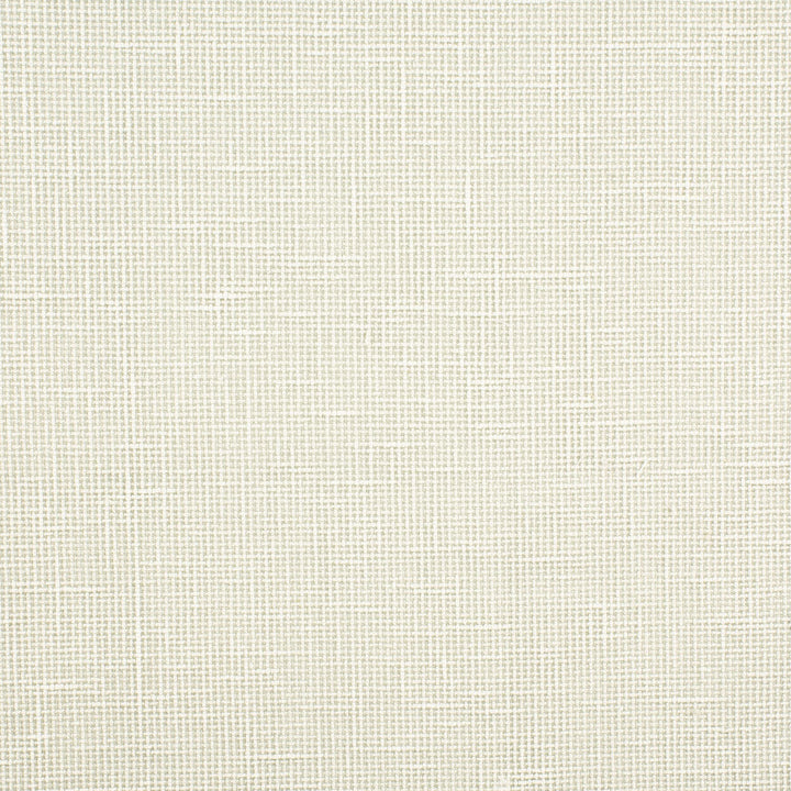 Gilroy 11 Cement by Stout Designer Fabric COLOR MY WINDOW FOG/SHADOW 91%POL 9%COT INDIA Horizontal: 0 and Vertical: 0 55 in - Swanky Fabrics -