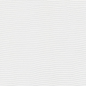 Maxwell Fabric Glyph-Nj # 1024 Zen