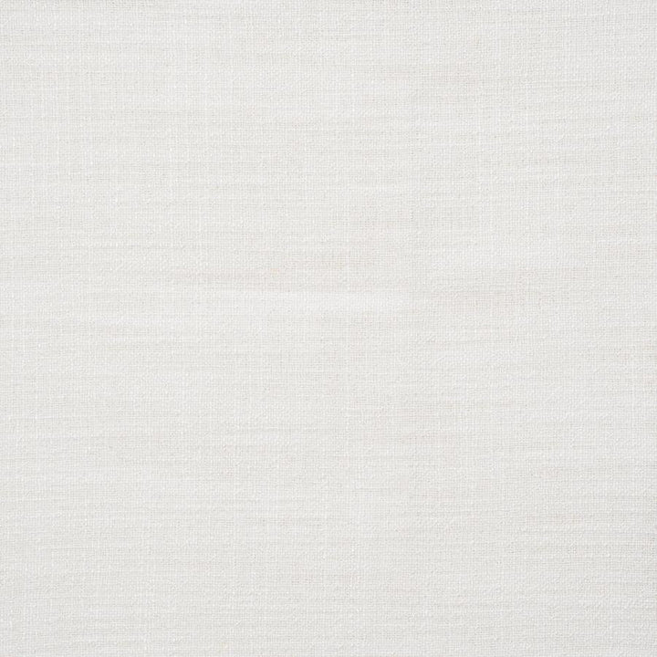 Giorgio # 102 Snow by Maxwell Designer Fabric Wide Width Basics Ii 100% RECYCLED POLYESTER INDIA 118" - Swanky Fabrics -