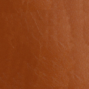 ABBEYSHEA Fabric Glaze 013 Sequoia
