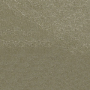 ABBEYSHEA Fabric Glaze 107 Pumice