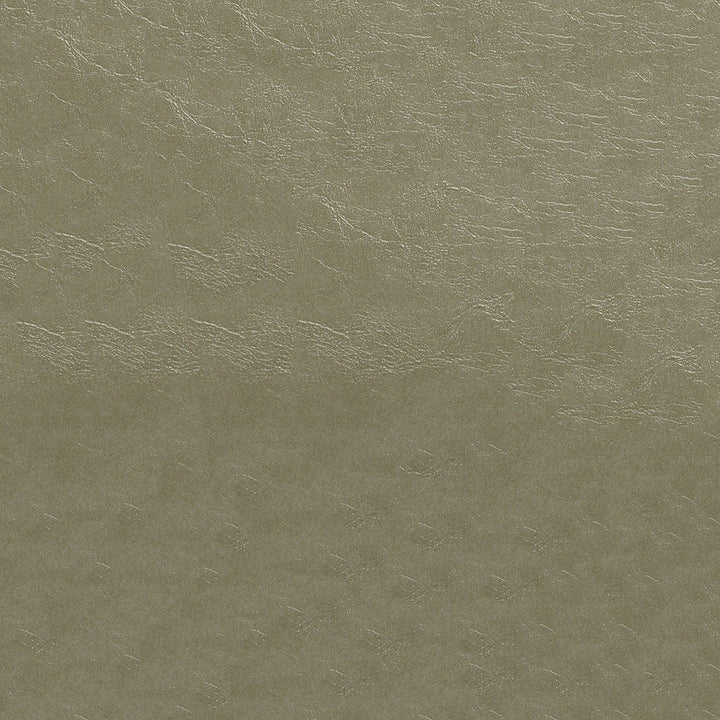 Glaze 107 Pumice by ABBEYSHEA Designer Fabric 100% Polyvinyl Chloride (PVC) China 100,000 Double Rubs (Wyzenbeek) </p><p>Repeat: Horizontal: and Vertical: 54" (137 cm) - Swanky Fabrics -