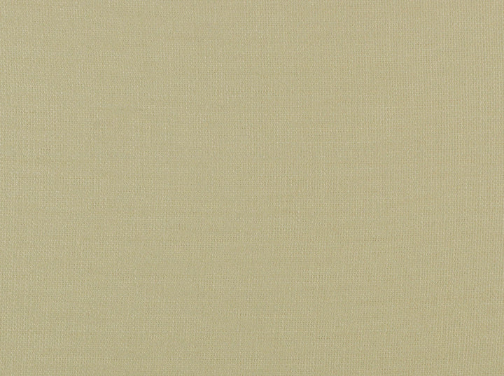 Glynn Linen 122 Khaki by Covington Designer Fabric Covington Right 41.5 62.25 0 0 by product