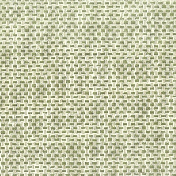 Golf 2 Fern by Stout Designer Fabric COMFORTABLE LIVING ALOE/FERN 36%COT 64%POL INDIA PERFORMANCE RATED FABRIC FLAME RETARDANT-U.F.A.C. CLASS 1 CATB 117-2013 WYZENBEEK 51 000 DOUBLE RUB WEAR TEST (HEAVY DUTY) Horizontal: 2.000 and Vertical: 0.000 54 in - Swanky Fabrics -