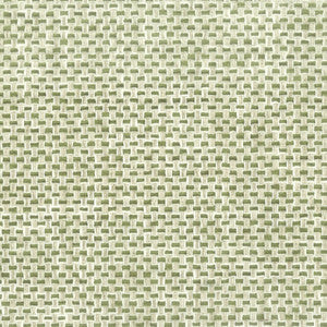 Stout Fabric Golf 2 Fern