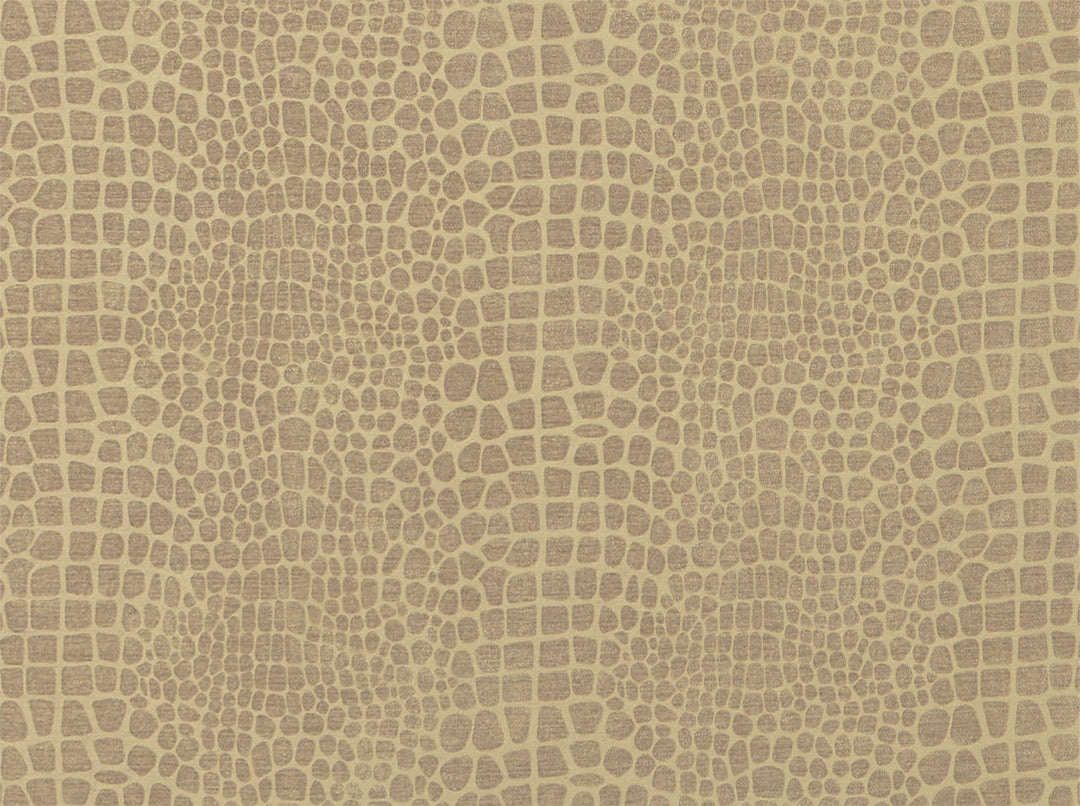 Goochie 704 Dusty Rose by Covington Designer Fabric