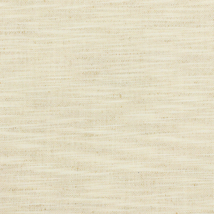 Gossamer 4 Marble by Stout Designer Fabric TEXTURE APPEAL 100%POL INDIA PERFORMANCE RATED FABRIC CATB 117-2013 WYZENBEEK 30 000 DOUBLE RUB WEAR TEST (HEAVY DUTY) Horizontal: 0.000 and Vertical: 0.000 54 in - Swanky Fabrics -
