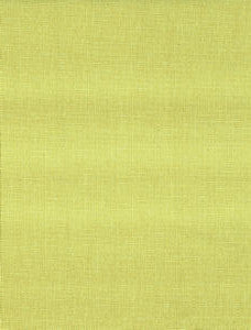 Grotto Lime 25326 by Norbar Designer Fabric 100% POLYESTER TURKEY 59 - Swanky Fabrics -
