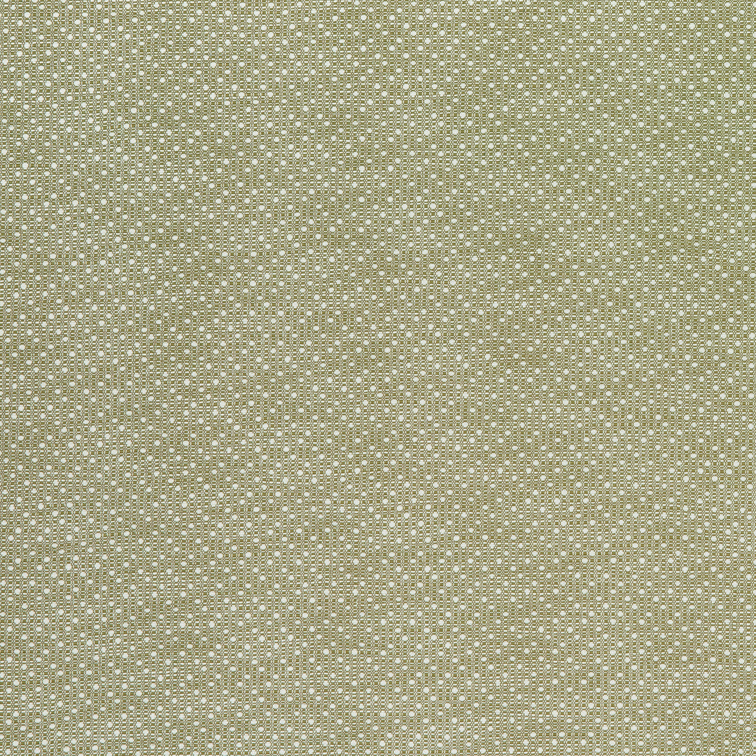 Groupie 1 Pistachio by Marcus William Designer Fabric Groupie 1 Pistachio by Marcus William Fabric KAI/MARCUS WILLIAM KELBY 100%POL India Horizontal: 1 and Vertical: 0.75 55 in - Fabric Carolina -