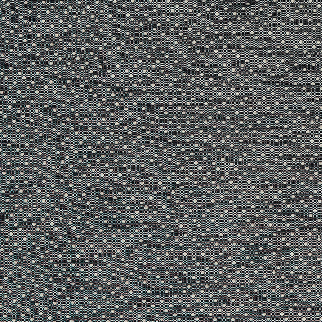 Groupie 2 Ebony by Marcus William Designer Fabric