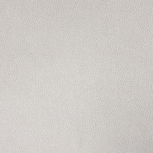 Stout Fabric Growl 4 Oyster