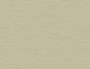 Seabrook Designs Wallpaper Bangkok Tan GT30106