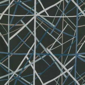 Lee Jofa Modern Fabric Simpatico Print Raven