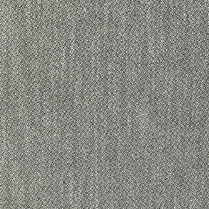 Lee Jofa Modern Fabric Torus Flint GWF-3793.8106.0