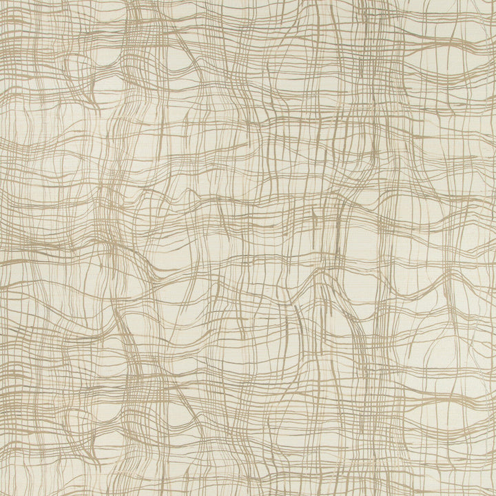 Entangle Paper Almond by Lee Jofa Modern Wallcovering Lee Jofa Modern Wallcovering Entangle Paper AlmondWallcovering KELLY WEARSTLER WALLPAPERS IV JUTE - 90%;COTTON - 10% Italy </p><p>Repeat: H: 34.25, V: 24.41 34.25 - Fabric Carolina -