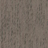 Maxwell Wallpaper Fossil (Wp) # A14 Java