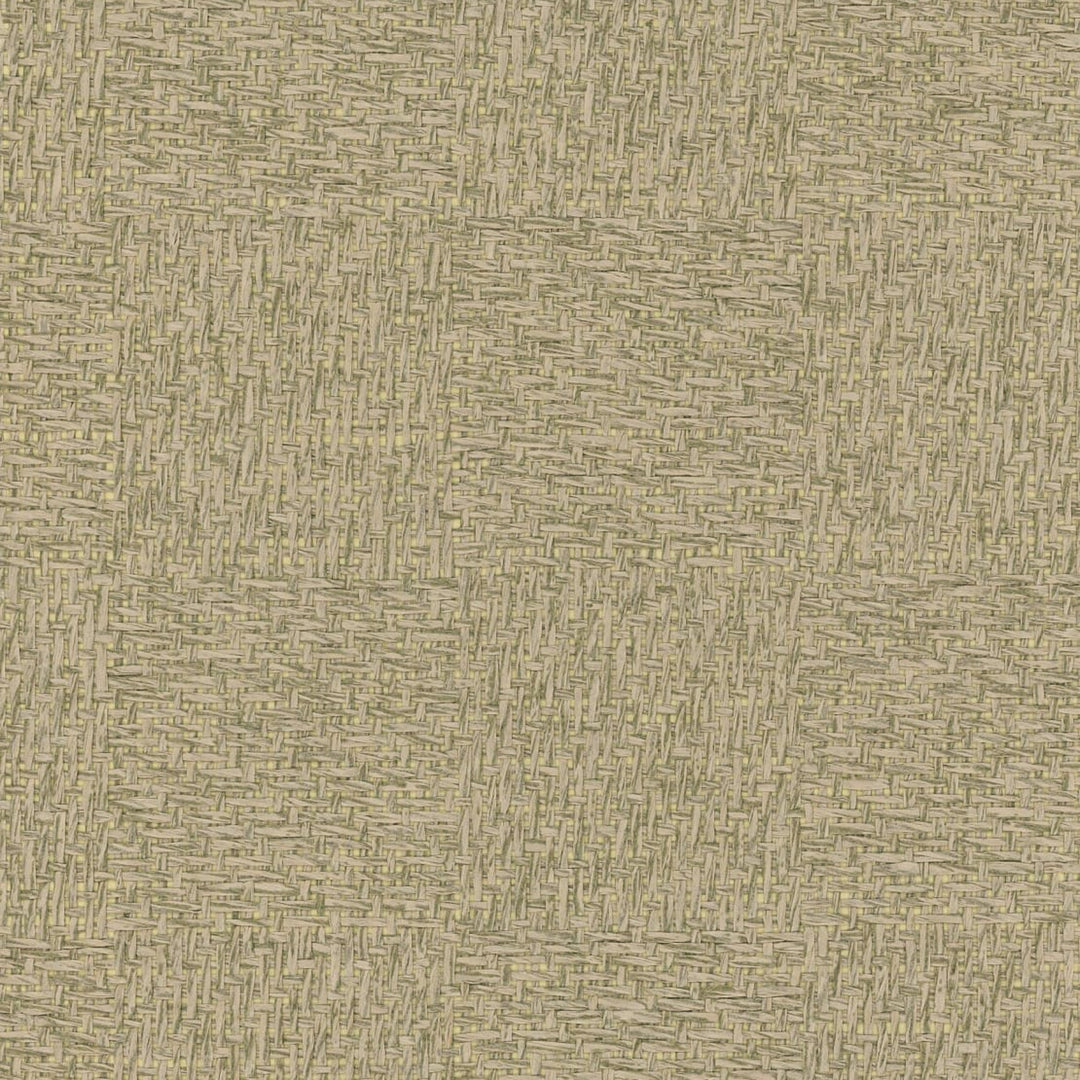 Aloe (Wp) # A62 Sage by Maxwell Designer Wallpaper Grasscloth Wallcovering PAPERWEAVE BACKING: 90g NON WOVEN CHINA 36" x 8YD - Swanky Fabrics -