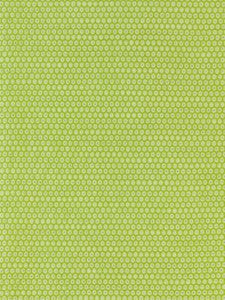 Grey Watkins Fabric Honeycomb Weave Kiwi GW272090003