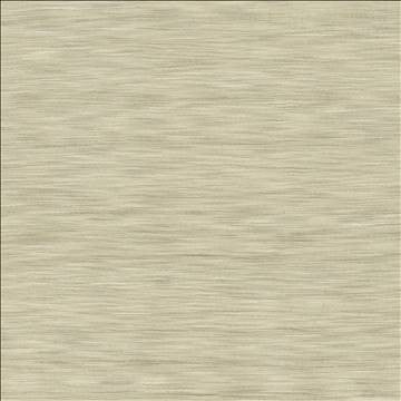 Kasmir Fabric Gainsford Stone