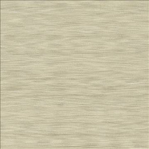 Kasmir Fabric Gainsford Stone
