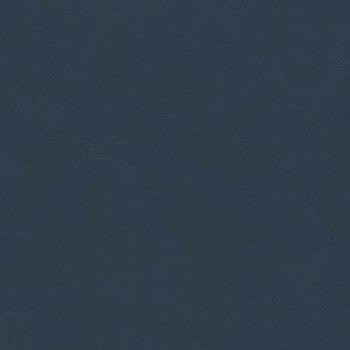 Grand Vista Navy GRV-010 by Burch Designer Fabric our website for purchase 100% Vinyl USA or Asia Water-based cleaning agents and foam may be used for cleaning. This fabric may also be cleaned with mild, water-free solvents. Cleaning by a professional cleaning service is recommended. Horizontal: - and Vertical: - 54" - Swanky Fabrics -