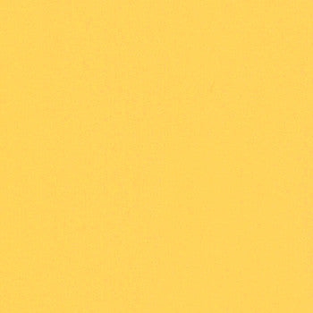 Guardian Lion GUA 1310 by Spradling Designer Fabric See sample 100% Vinyl USA or Imported Water-based cleaning agents and foam may be used for cleaning. Cleaning by a professional cleaning service is recommended.  54  - Swanky Fabrics -