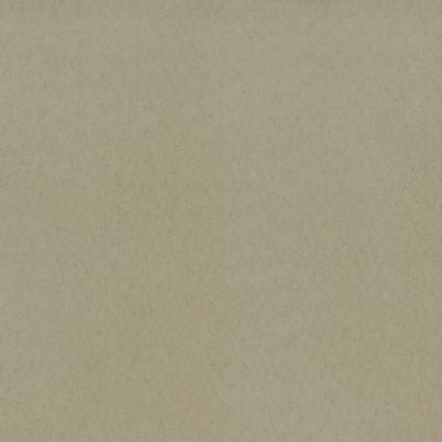 Sarabelle Suede Buckwheat H6SARA0002 by Old World Weavers Designer Fabric ESSENTIAL LEATHERS / SUEDES / HIDES 100% POLYESTER CHINA MEDIUM DUTY Horizontal: 0" and Vertical: 0" 57 - Swanky Fabrics -
