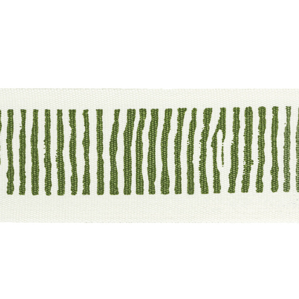 Halifax Tape 10 Avocado by Stout Designer Trim NATURAL BEAUTY TRIM 100%COT INDIA Horizontal: 2.500 and Vertical: 5.000 2.5 in - Swanky Fabrics -